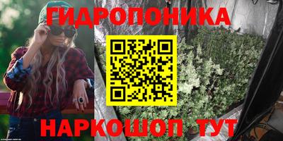 стаф Бузулук