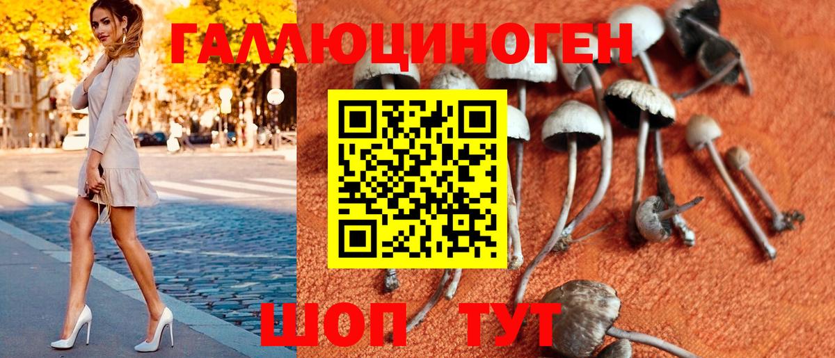 Псилоцибиновые грибы MAGIC MUSHROOMS  Вход с VPN  Новоалтайск 